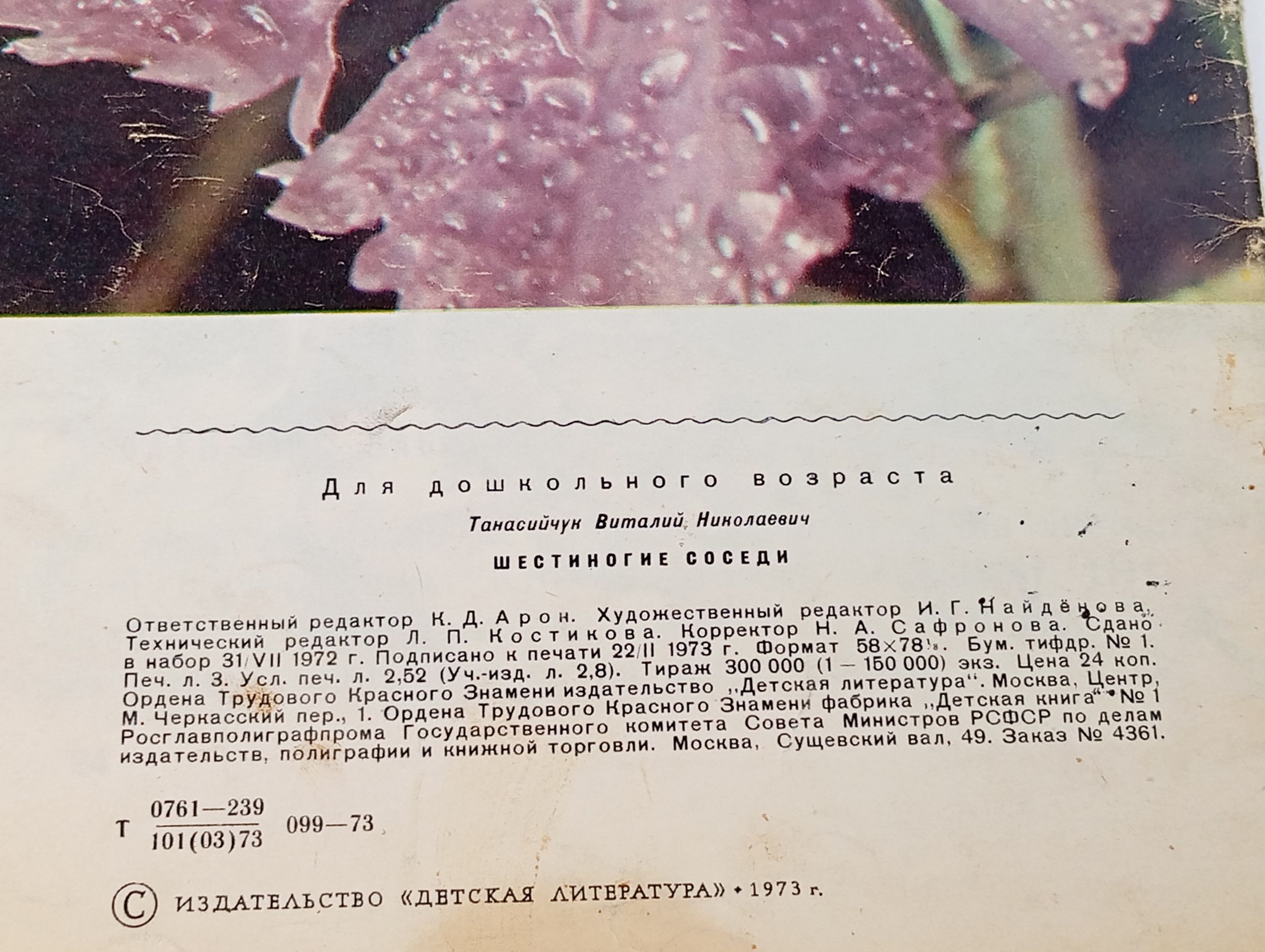 Шестиногие соседи