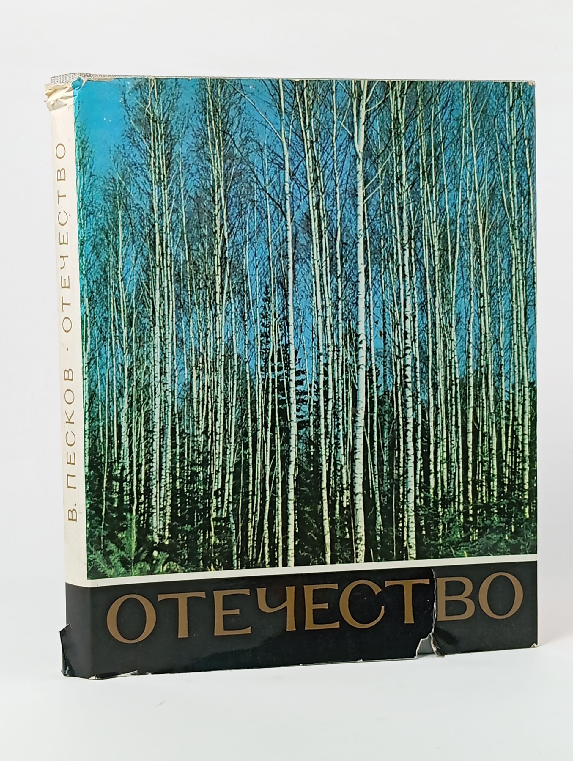 Обложка: Отечество