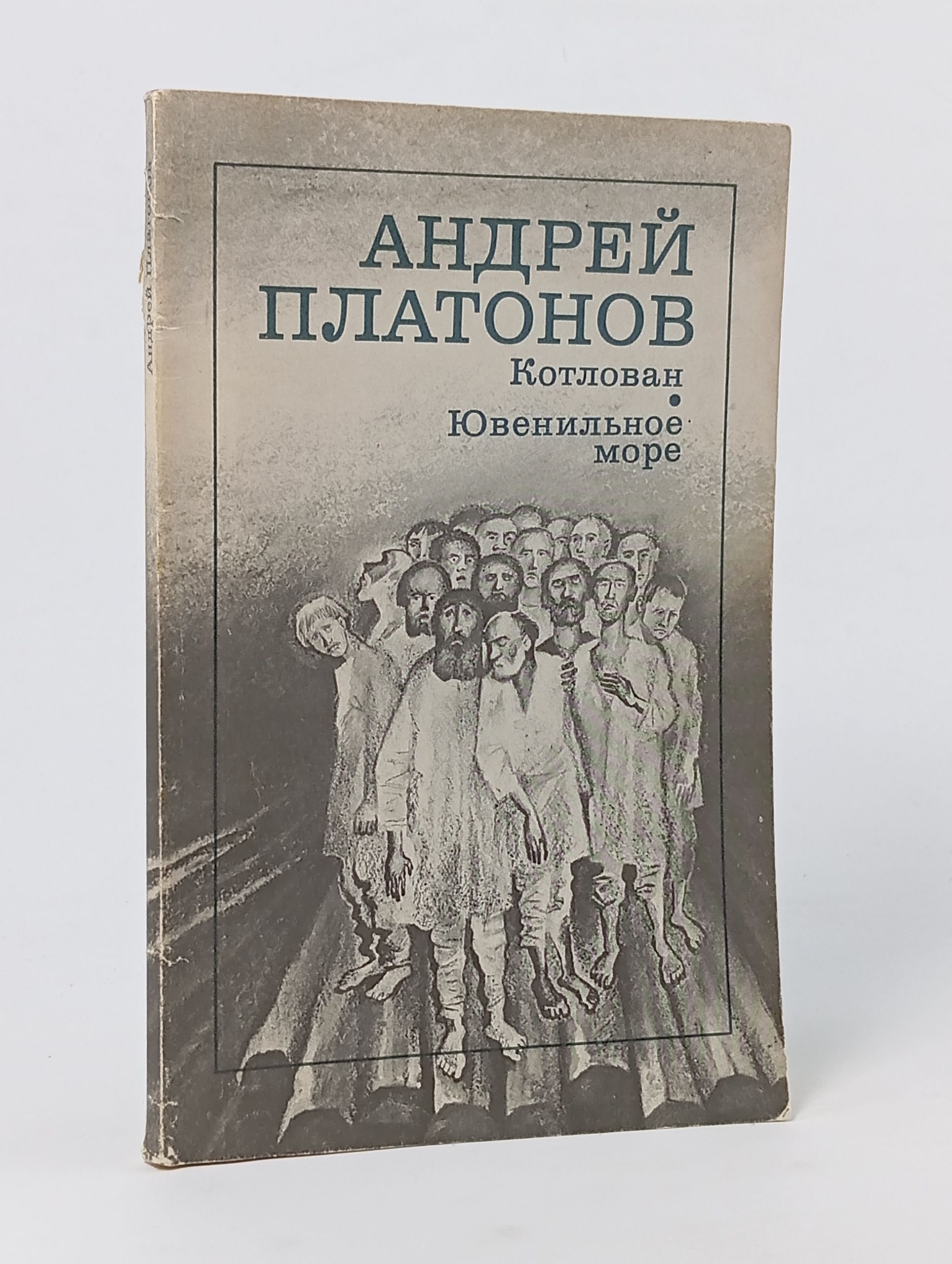 Обложка: Котлован. Ювенильное море
