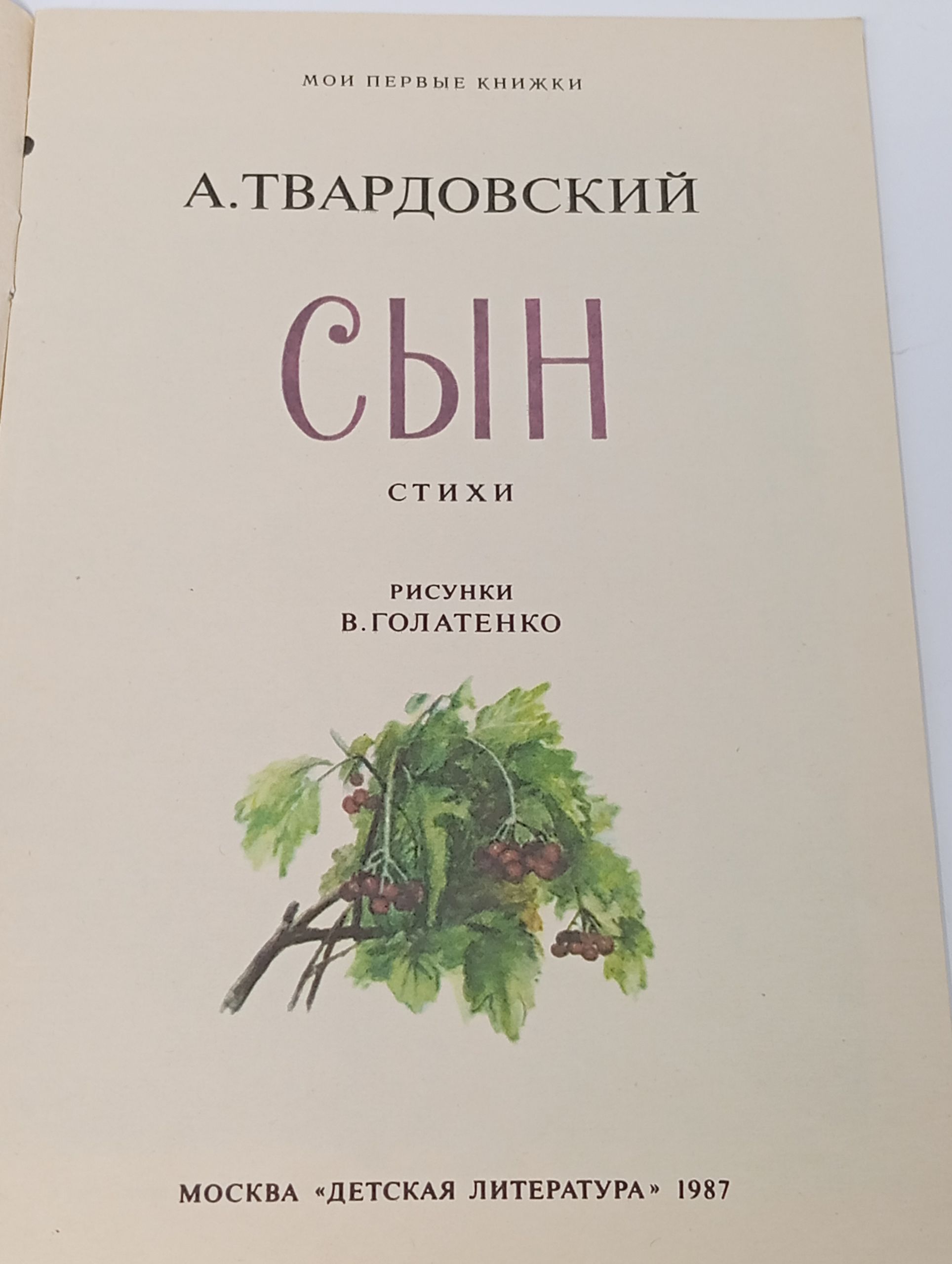 Сын. Твардовский Александр Трифонович