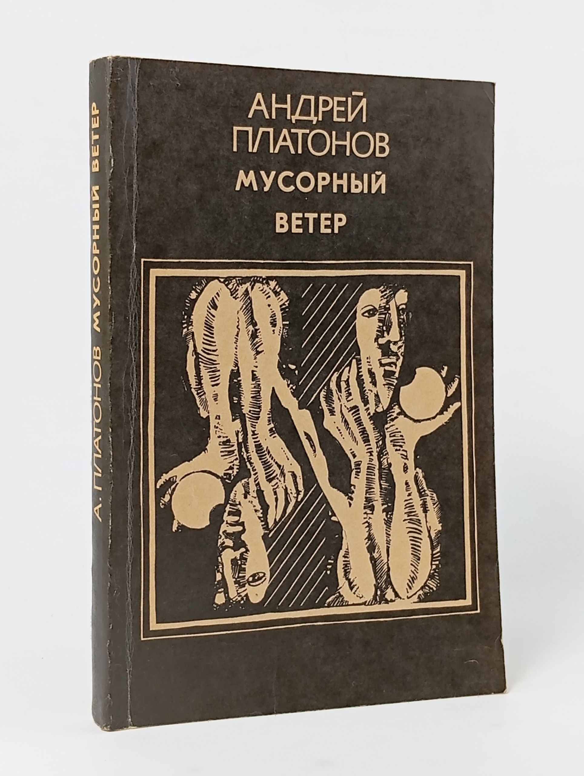 Обложка: Мусорный ветер