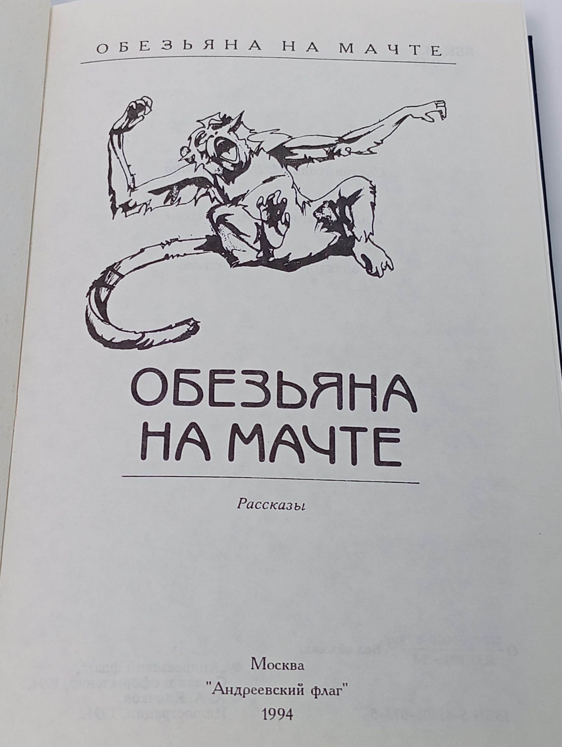Обезьяна на мачте