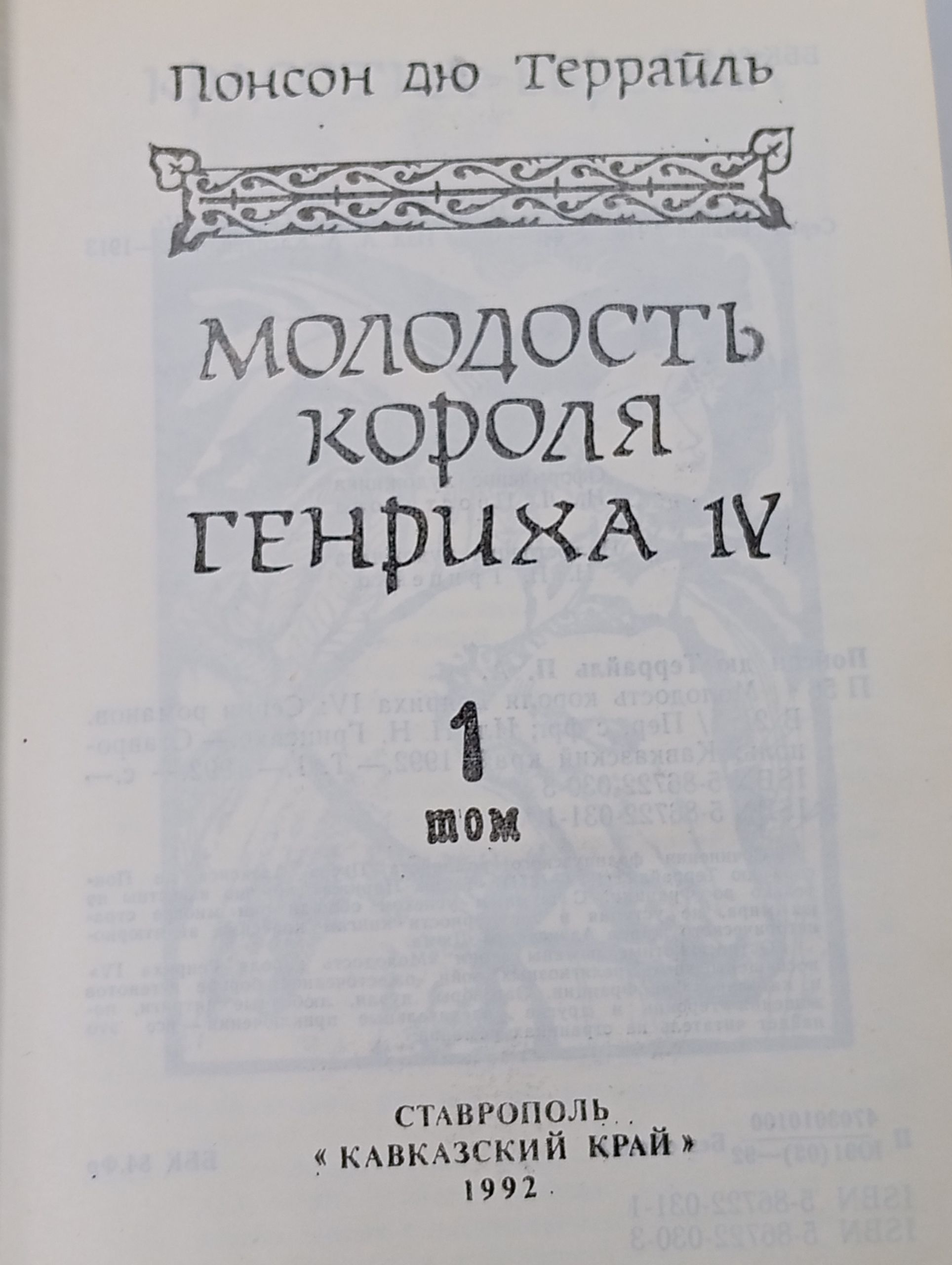 Молодость короля Генриха IV. Том 1
