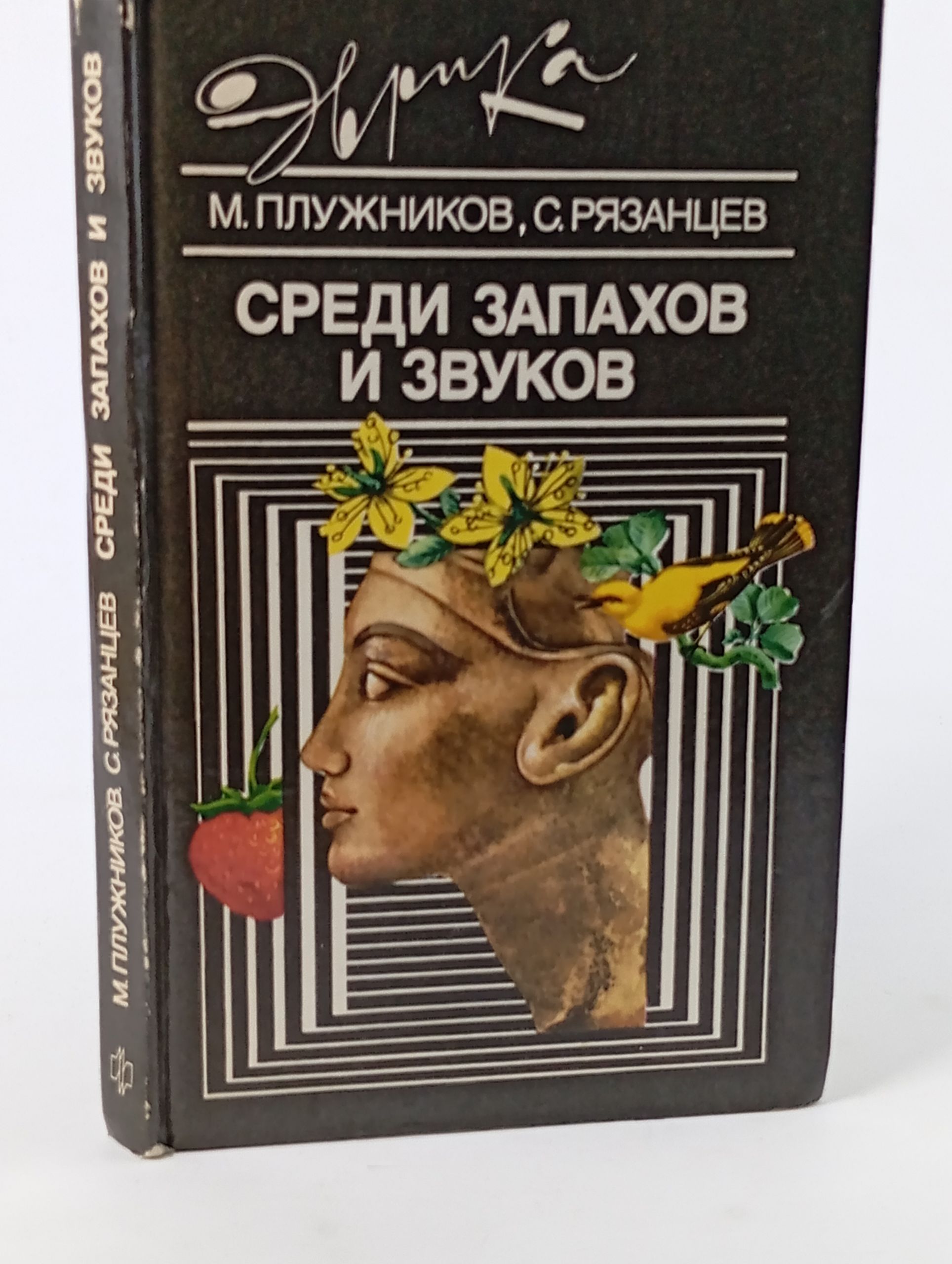 Обложка: Среди запахов и звуков