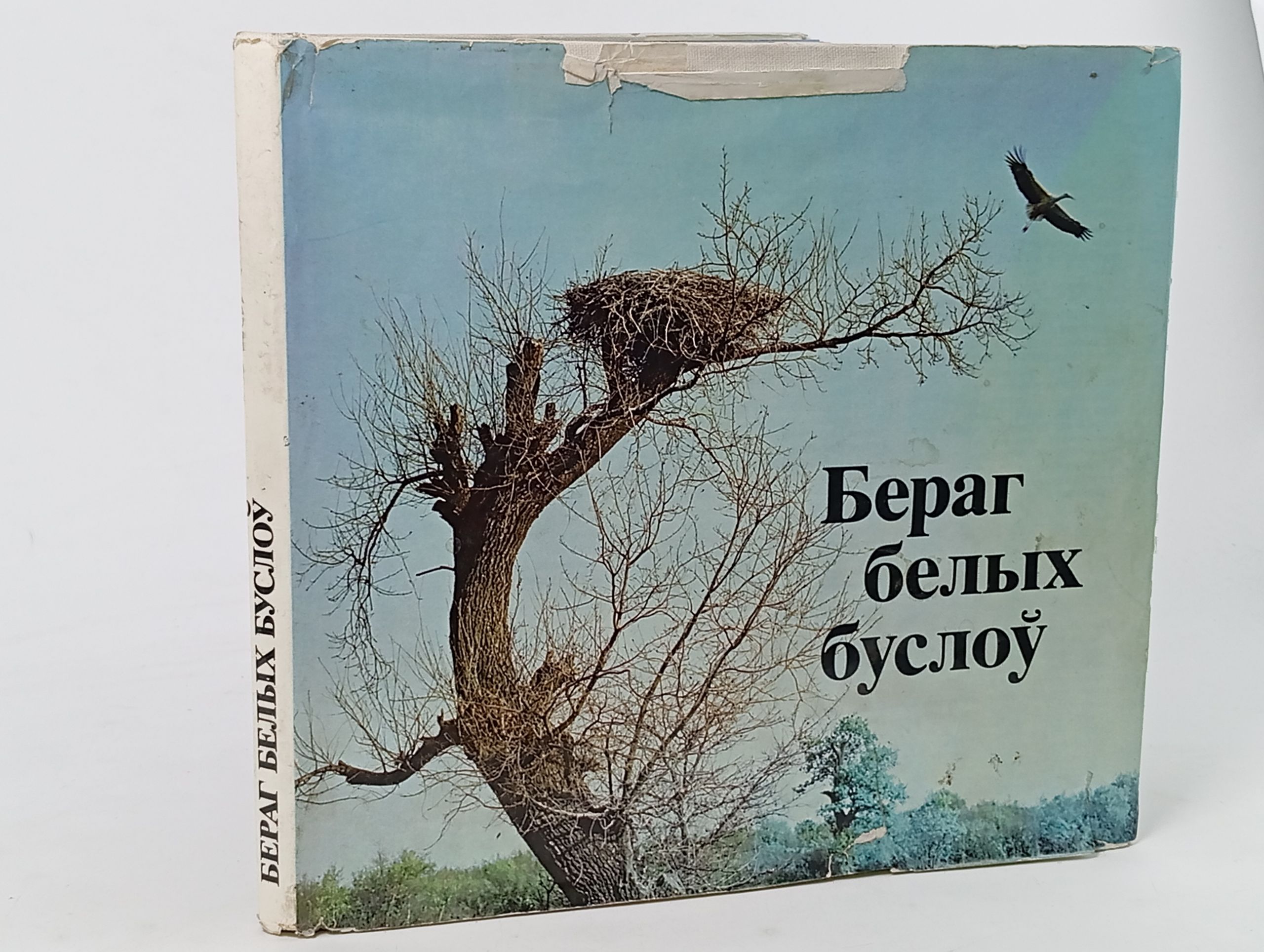 Обложка: Бераг белых буслоу
