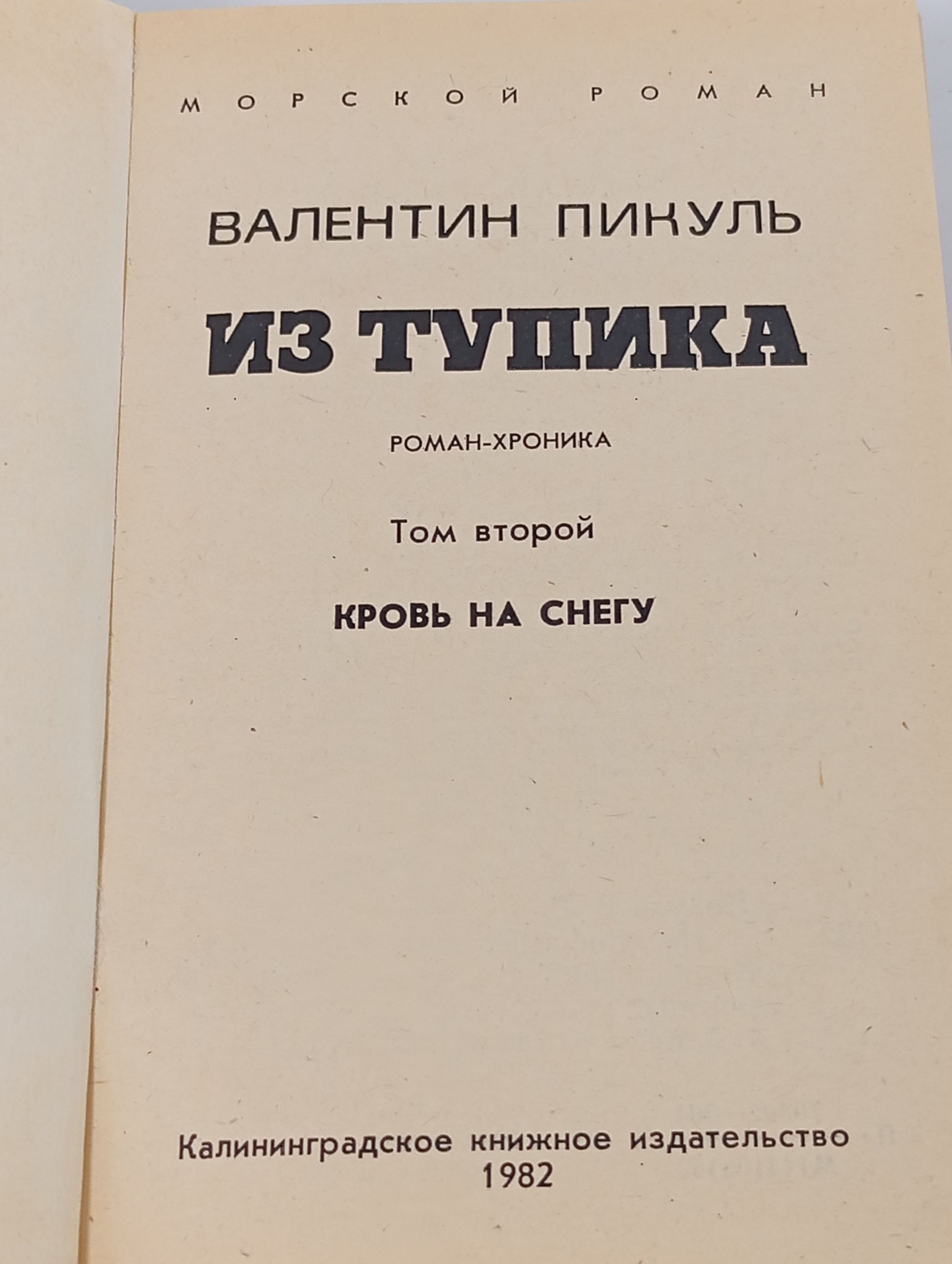 Из тупика. Том второй. Кровь на снегу