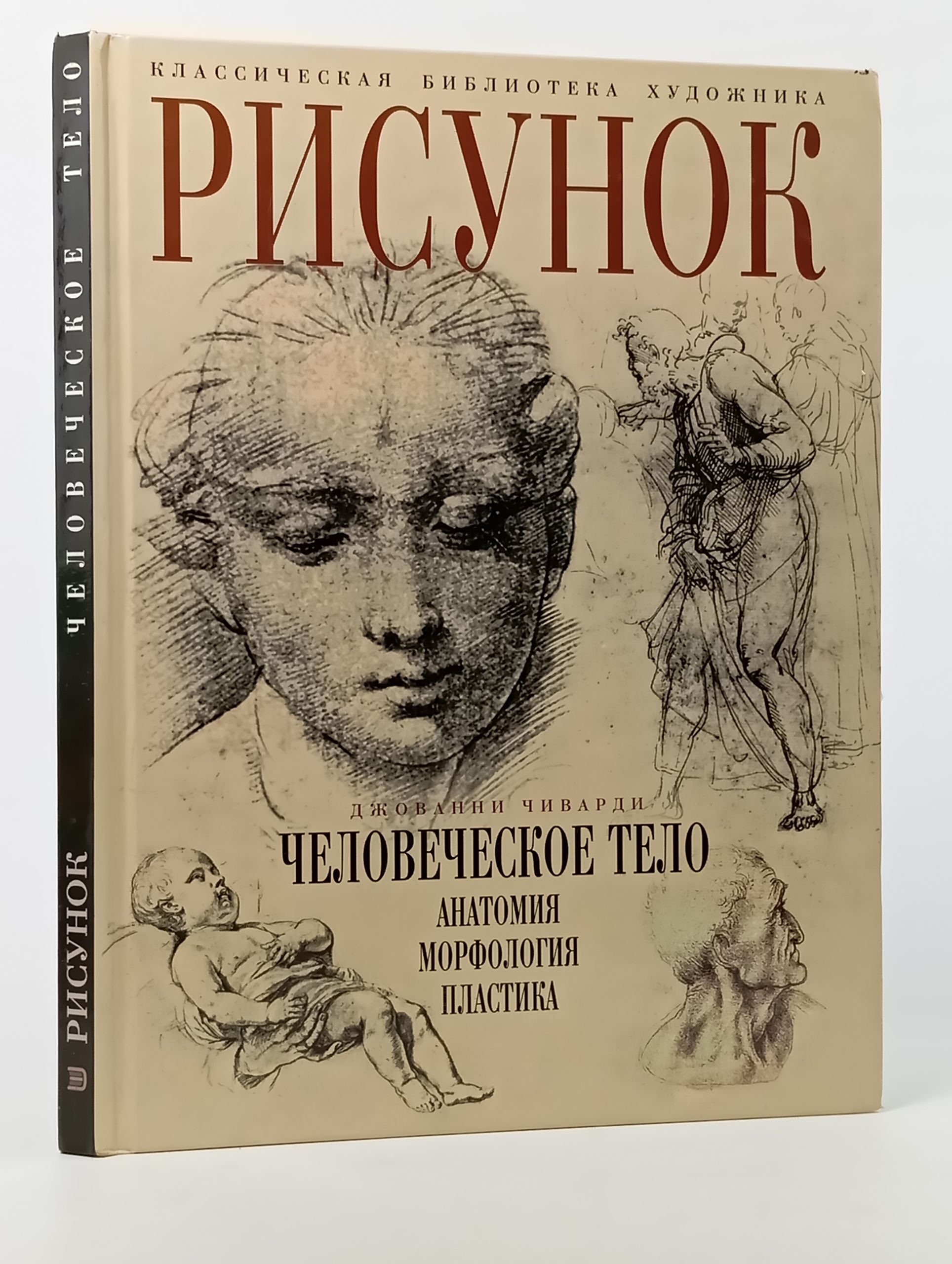 Обложка: Рисунок. Человеческое тело. Анатомия, морфология, пластика
