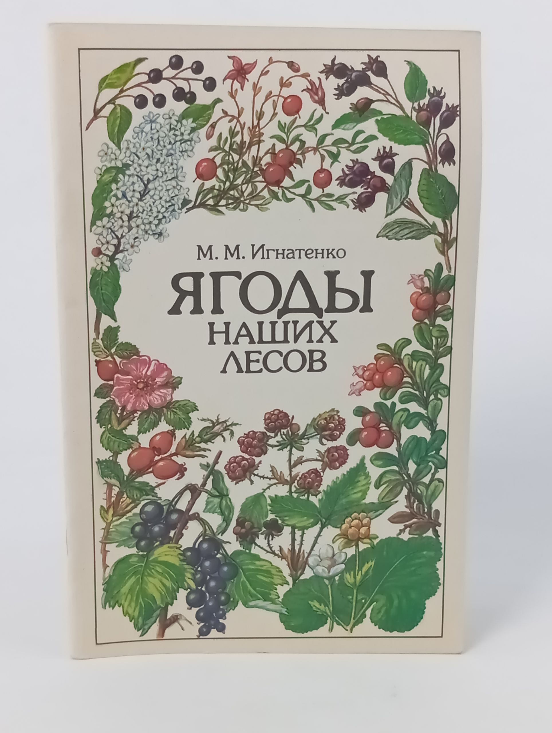 Обложка: Ягоды наших лесов
