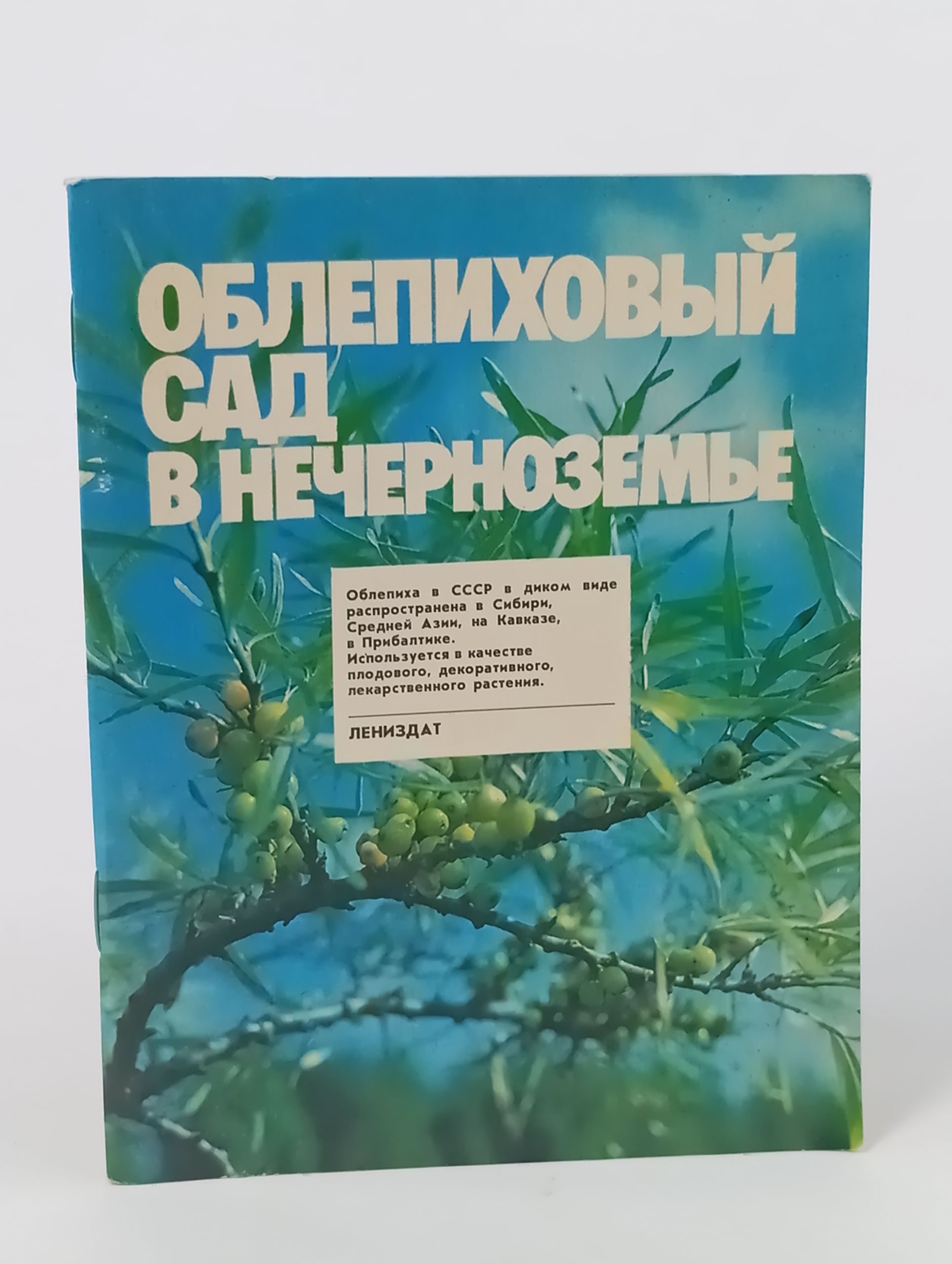 Обложка: Облепиховый сад в Нечерноземье