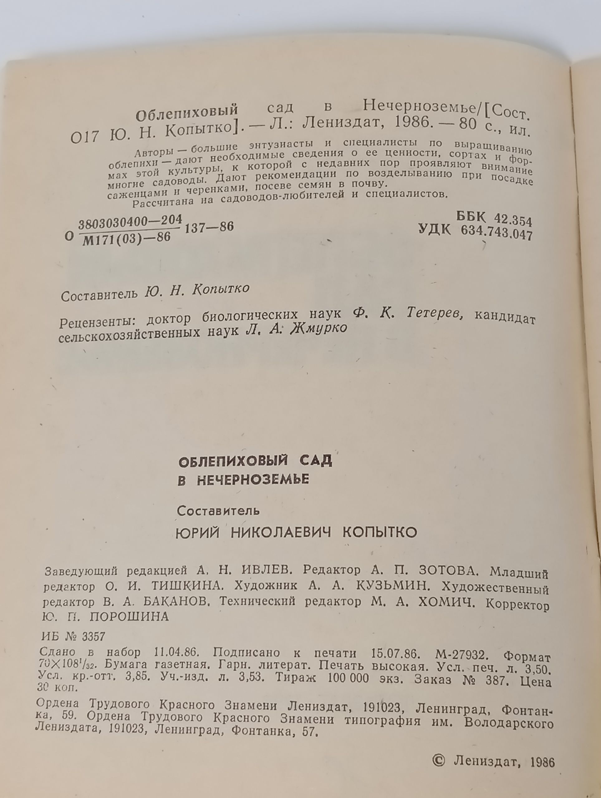 Облепиховый сад в Нечерноземье
