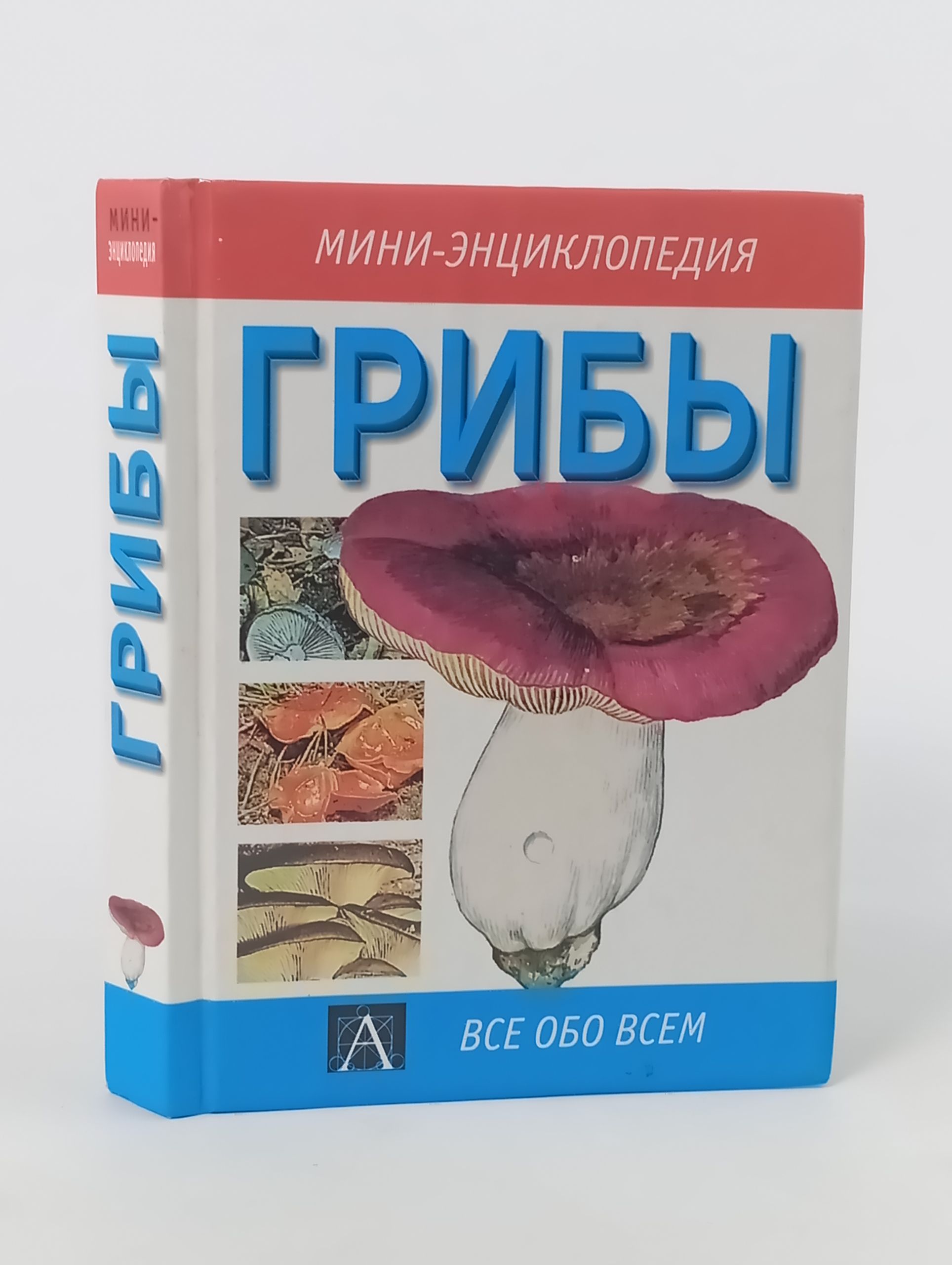 Обложка: Грибы