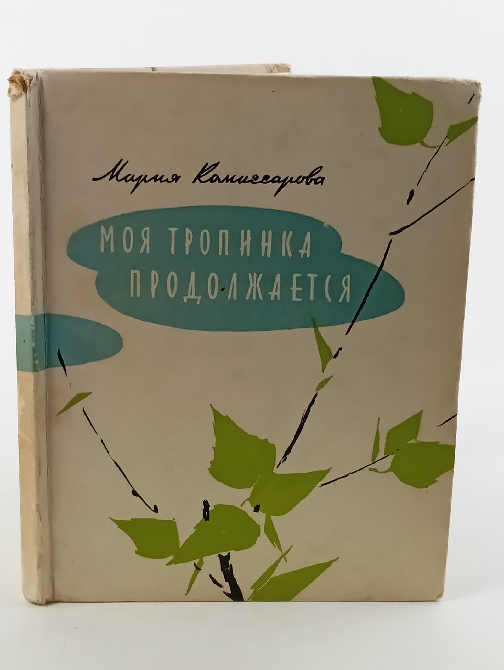 Обложка: Моя тропинка продолжается (сборник стихов)